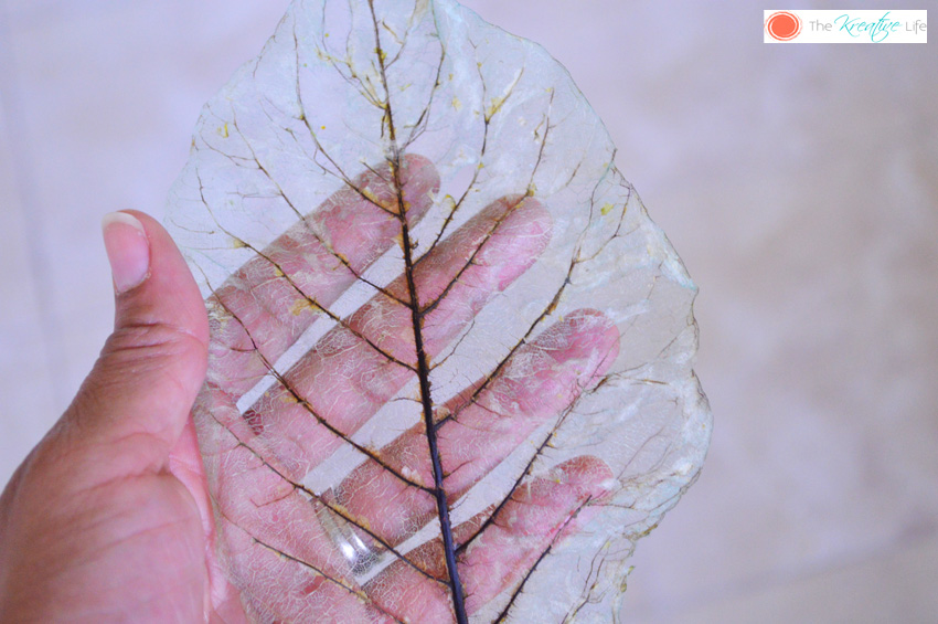 How To Make Skeleton Leaves - The Kreative Life